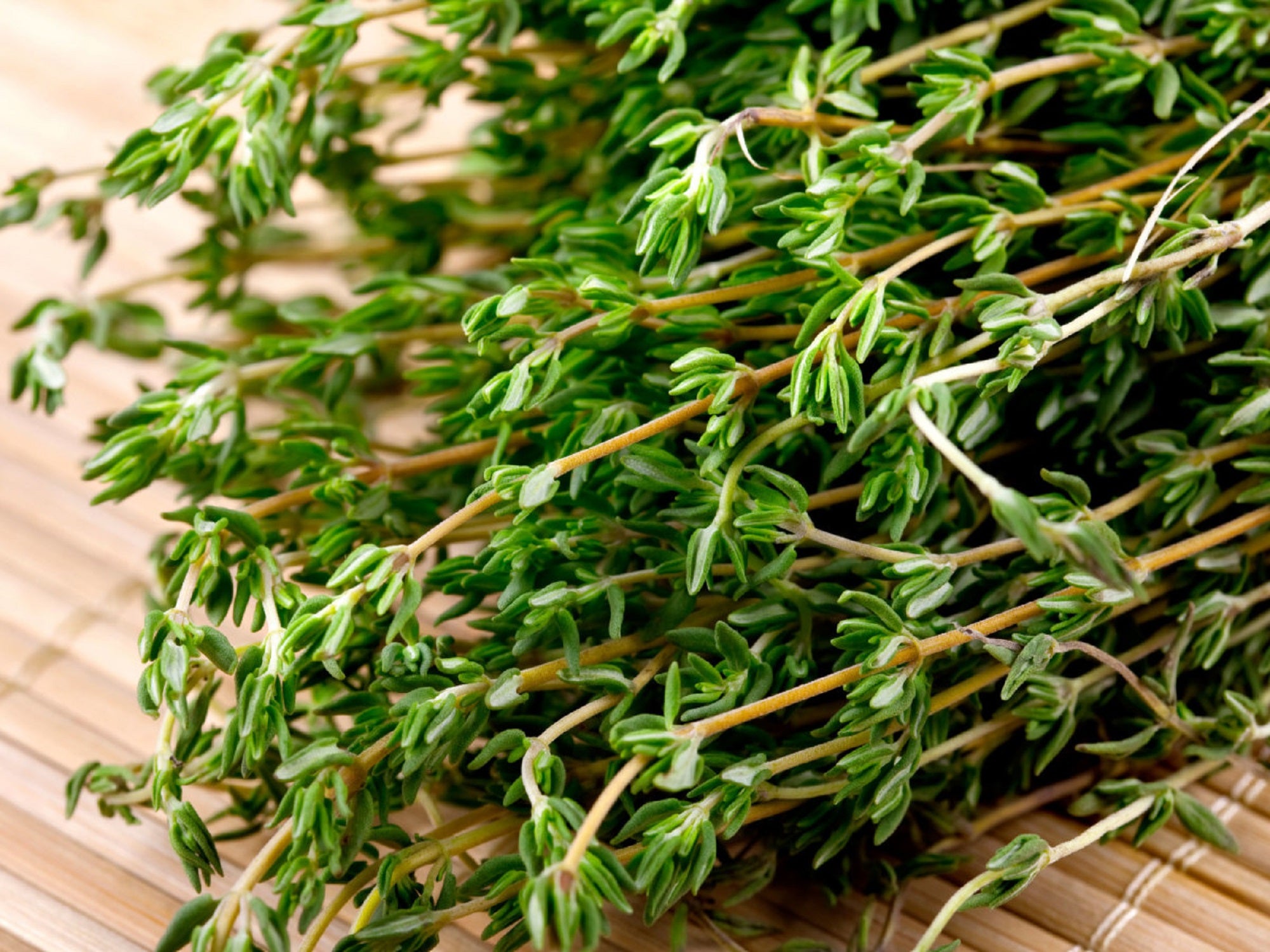 Greek Thyme 25g