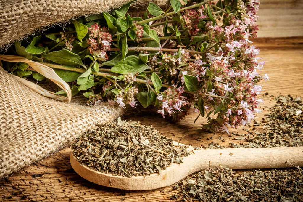 Greek Oregano 25g