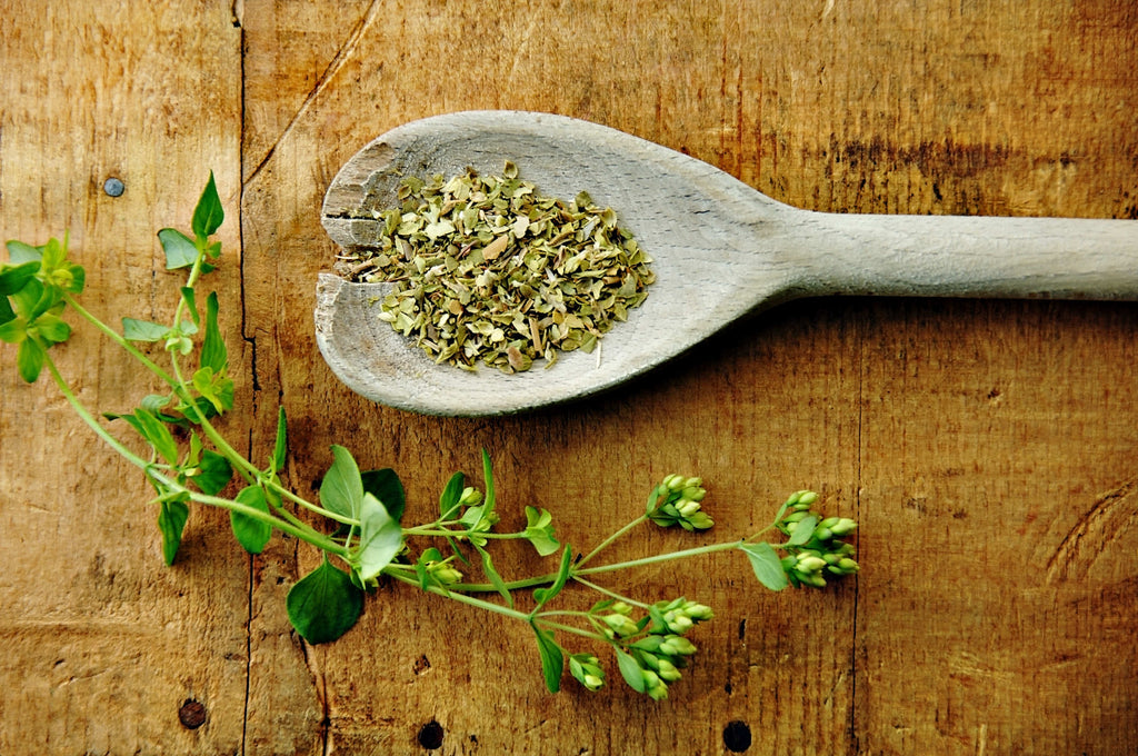 Greek Oregano 25g